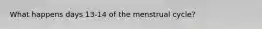 What happens days 13-14 of the menstrual cycle?