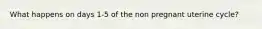 What happens on days 1-5 of the non pregnant uterine cycle?