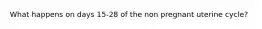 What happens on days 15-28 of the non pregnant uterine cycle?