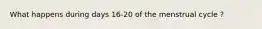 What happens during days 16-20 of the menstrual cycle ?