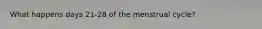 What happens days 21-28 of the menstrual cycle?