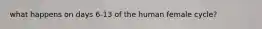 what happens on days 6-13 of the human female cycle?