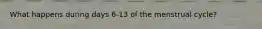 What happens during days 6-13 of the menstrual cycle?
