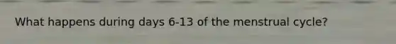 What happens during days 6-13 of the menstrual cycle?