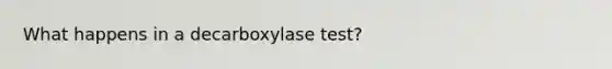 What happens in a decarboxylase test?