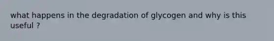 what happens in the degradation of glycogen and why is this useful ?