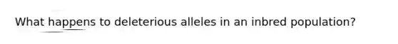 What happens to deleterious alleles in an inbred population?