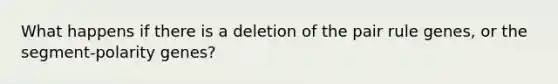 What happens if there is a deletion of the pair rule genes, or the segment-polarity genes?