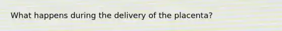 What happens during the delivery of the placenta?