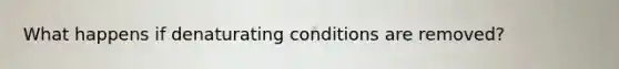 What happens if denaturating conditions are removed?