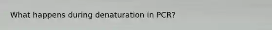 What happens during denaturation in PCR?