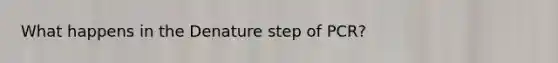 What happens in the Denature step of PCR?