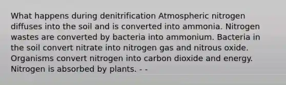 What happens during denitrification Atmospheric nitrogen diffuses into the soil and is converted into ammonia. Nitrogen wastes are converted by bacteria into ammonium. Bacteria in the soil convert nitrate into nitrogen gas and nitrous oxide. Organisms convert nitrogen into carbon dioxide and energy. Nitrogen is absorbed by plants. - -