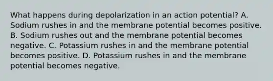 What happens during depolarization in an action potential? A. Sodium rushes in and the membrane potential becomes positive. B. Sodium rushes out and the membrane potential becomes negative. C. Potassium rushes in and the membrane potential becomes positive. D. Potassium rushes in and the membrane potential becomes negative.