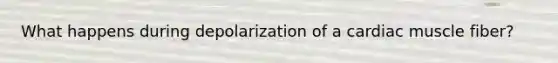 What happens during depolarization of a cardiac muscle fiber?