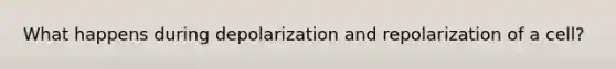 What happens during depolarization and repolarization of a cell?