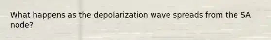 What happens as the depolarization wave spreads from the SA node?