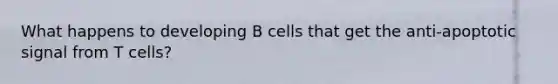 What happens to developing B cells that get the anti-apoptotic signal from T cells?