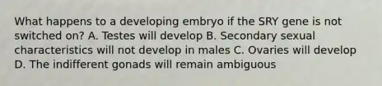 What happens to a developing embryo if the SRY gene is not switched on? A. Testes will develop B. Secondary sexual characteristics will not develop in males C. Ovaries will develop D. The indifferent gonads will remain ambiguous