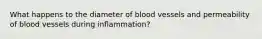 What happens to the diameter of blood vessels and permeability of blood vessels during inflammation?