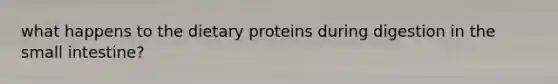 what happens to the dietary proteins during digestion in the small intestine?