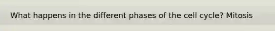 What happens in the different phases of the cell cycle? Mitosis