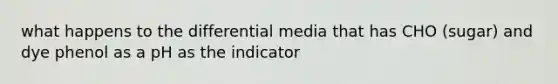 what happens to the differential media that has CHO (sugar) and dye phenol as a pH as the indicator