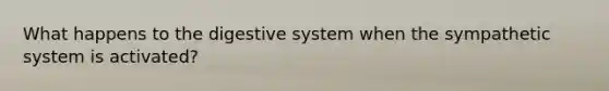 What happens to the digestive system when the sympathetic system is activated?