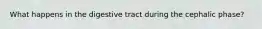 What happens in the digestive tract during the cephalic phase?