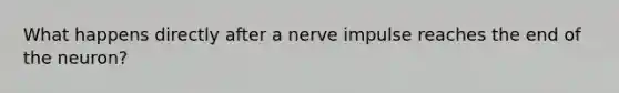 What happens directly after a nerve impulse reaches the end of the neuron?