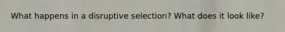 What happens in a disruptive selection? What does it look like?