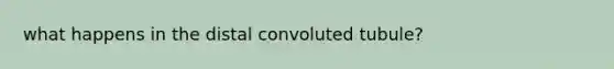 what happens in the distal convoluted tubule?