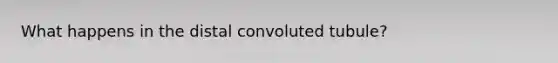 What happens in the distal convoluted tubule?