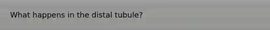 What happens in the distal tubule?