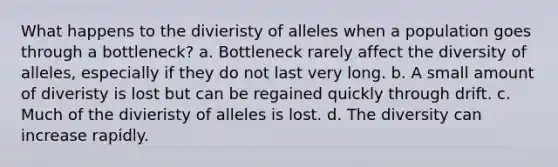 What happens to the divieristy of alleles when a population goes through a bottleneck? a. Bottleneck rarely affect the diversity of alleles, especially if they do not last very long. b. A small amount of diveristy is lost but can be regained quickly through drift. c. Much of the divieristy of alleles is lost. d. The diversity can increase rapidly.