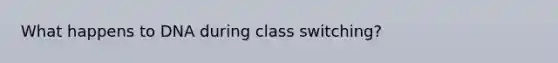 What happens to DNA during class switching?