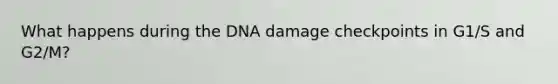 What happens during the DNA damage checkpoints in G1/S and G2/M?