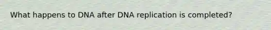 What happens to DNA after <a href='https://www.questionai.com/knowledge/kofV2VQU2J-dna-replication' class='anchor-knowledge'>dna replication</a> is completed?