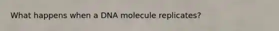 What happens when a DNA molecule replicates?