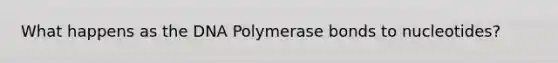 What happens as the DNA Polymerase bonds to nucleotides?