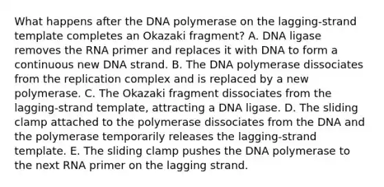 What happens after the DNA polymerase on the lagging-strand template completes an Okazaki fragment? A. DNA ligase removes the RNA primer and replaces it with DNA to form a continuous new DNA strand. B. The DNA polymerase dissociates from the replication complex and is replaced by a new polymerase. C. The Okazaki fragment dissociates from the lagging-strand template, attracting a DNA ligase. D. The sliding clamp attached to the polymerase dissociates from the DNA and the polymerase temporarily releases the lagging-strand template. E. The sliding clamp pushes the DNA polymerase to the next RNA primer on the lagging strand.