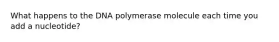 What happens to the DNA polymerase molecule each time you add a nucleotide?