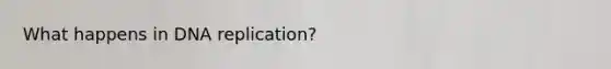 What happens in DNA replication?