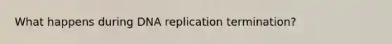 What happens during DNA replication termination?