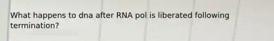 What happens to dna after RNA pol is liberated following termination?