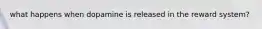 what happens when dopamine is released in the reward system?