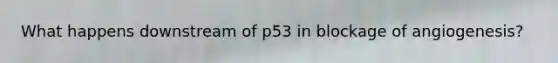 What happens downstream of p53 in blockage of angiogenesis?