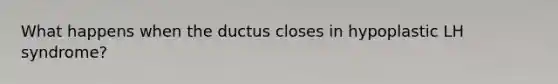 What happens when the ductus closes in hypoplastic LH syndrome?