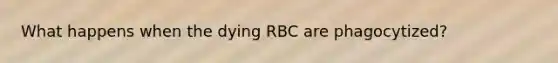 What happens when the dying RBC are phagocytized?