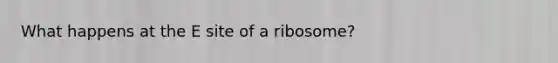 What happens at the E site of a ribosome?